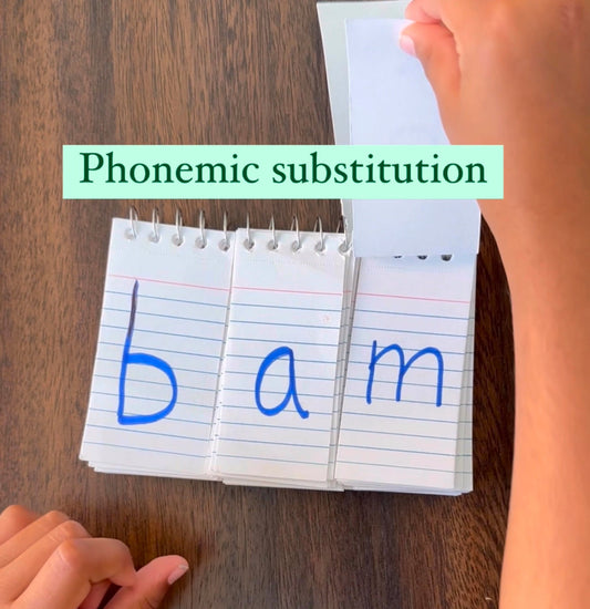 DIY Phonics Flip Book for CVC Words